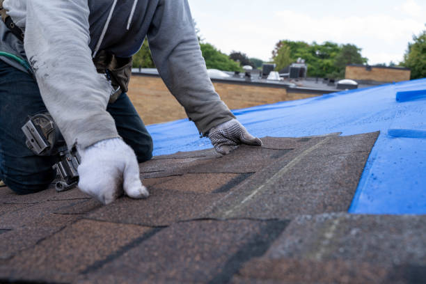 Best Gutter Installation and Roofing  in Wade, MS