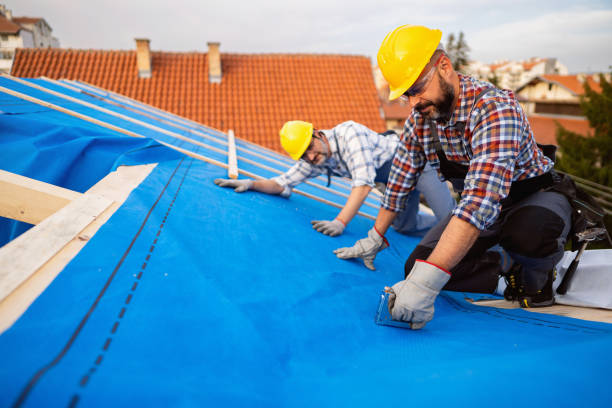 Best Roof Gutter Cleaning  in Wade, MS